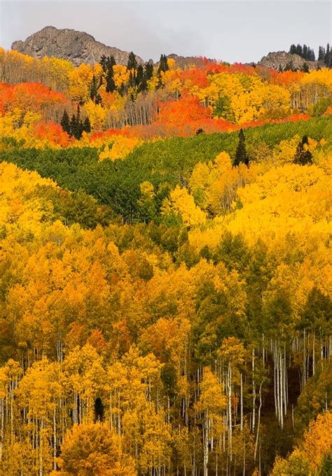 You Must Visit These 15 Awesome Places In Colorado This Fall Autumn