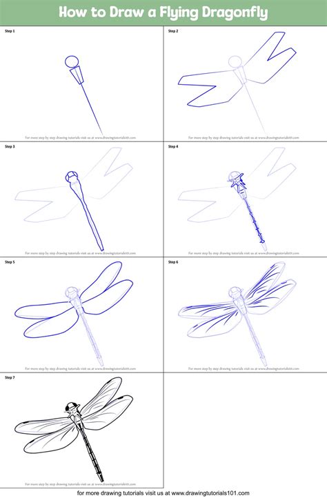 How To Draw A Flying Dragonfly Insects Step By Step