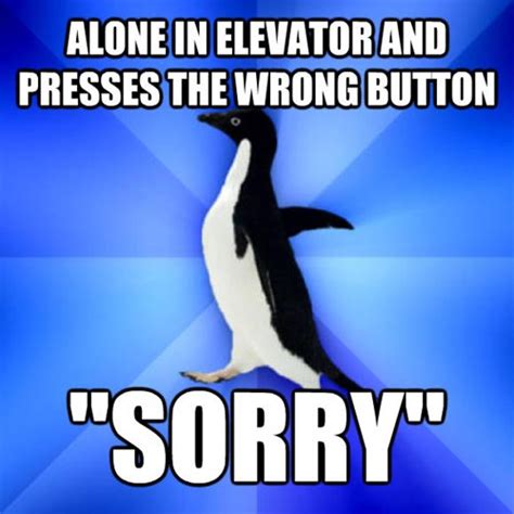 Memebase Socially Awkward Penguin Page 5 All Your Memes In Our