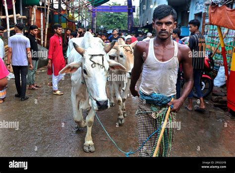 Chittagong Pahartoli Bangladesh 23rd June 2023 On 06 June2023 The