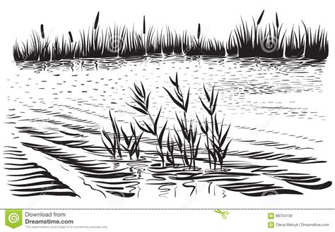 Vector Illustration Of River Landscape With Cattail And