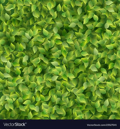 Green Leaves Pattern Texture Template Background Vector Image