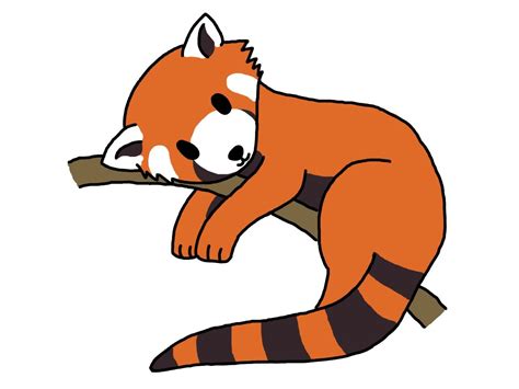 How to draw a red panda. Clipart Panda - Free Clipart Images