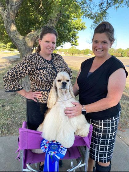 Salina Kennel Club Monday August 17 2020 Canine Chronicle