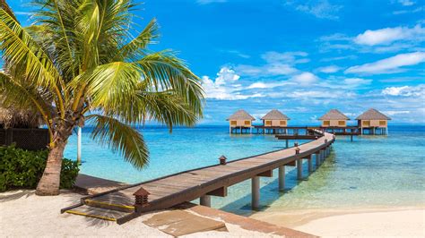 Maledivy sú asi jednou s destinácii o ktorej sníva každý. Maledivy - dovolená 2021: svátky, zájezdy, all inclusive ...