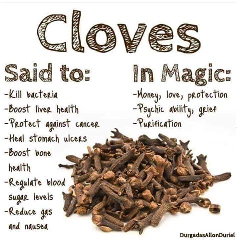 The Importance And Health Benefits Of Cloves Thingscouplesdo