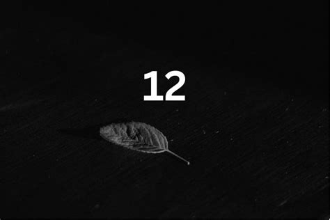 12 معنى رقم الملاك كل ما تحتاج إلى معرفته