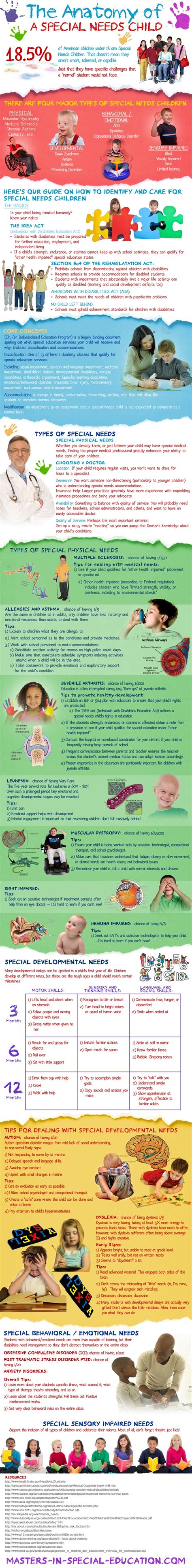 Infographic Anatomy Of A Special Needs Child Special Needs Resource