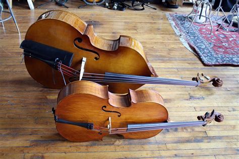Difference Between A Cello Upright Bass Double Bass Musical Art Sounds Good Music Theory