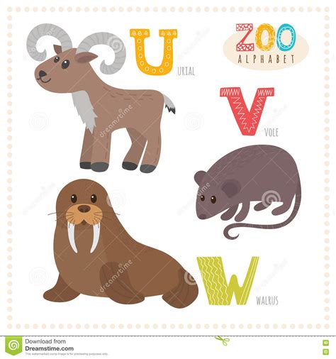vole cartoons illustrations vector stock images