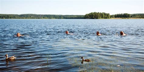 Adopter Un Mode De Vie Nature Conseils Voyage T Finlandais