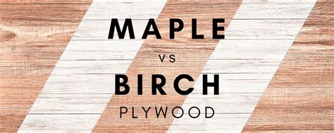 Maple Vs Birch Plywood How To Choose
