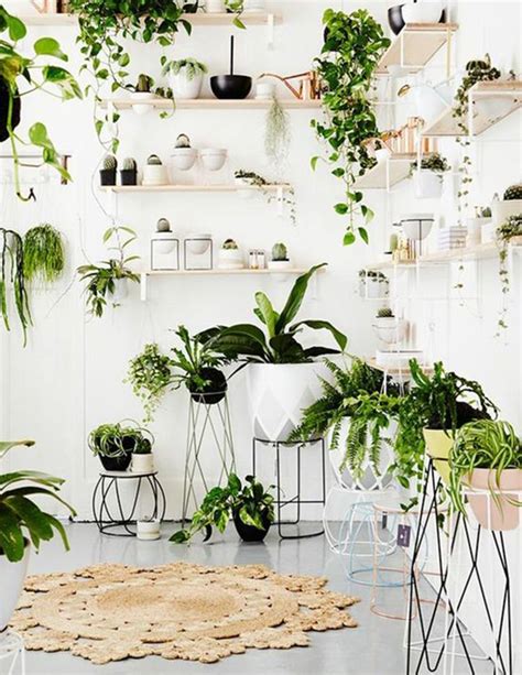 6 Great Ways To Decorate With Plants Dream House Indoor Plants