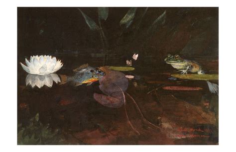 Winslow Homer, Mink Pond | Winslow homer paintings, Winslow homer 