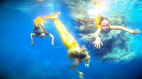 Reallife Mermaids Swim With Sea Creatures Video Abc News