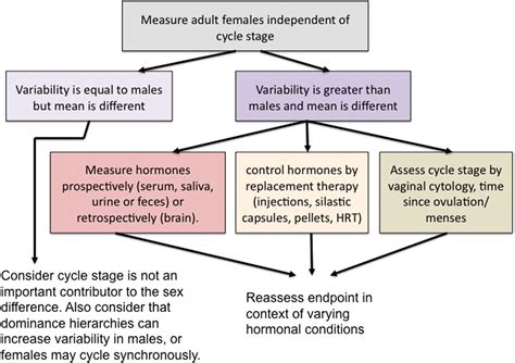 Sex Differences In The Brain The Not So Inconvenient Truth Journal