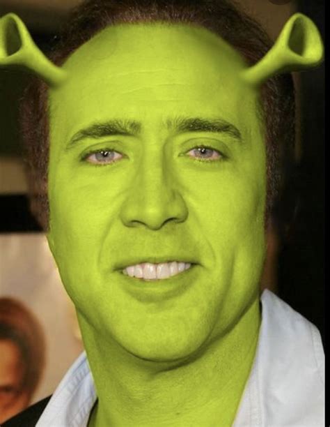 Shrekolascage Meme Faces Nicolas Cage Shrek