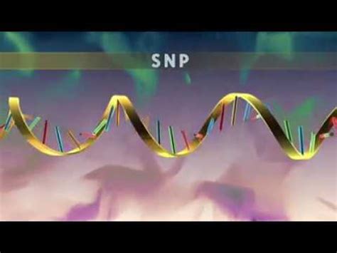 SNPs Single Nucleotide Polymorphism YouTube