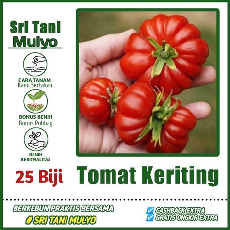 Jual 25 Biji Benih Tomat Keriting Unggul MAWAR F1 Bibit Sayuran
