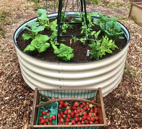 Inexpensive Raised Garden Bed Ideas The Cards We Drew