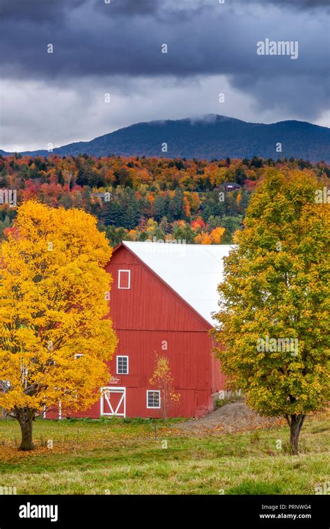 Fall Foliage Surrounding Red Barn Near Stowe Vermont Usa Stock Photo
