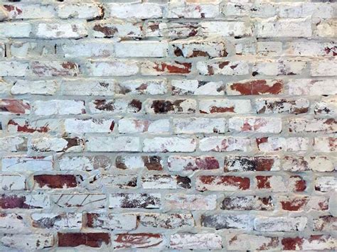 How To Whitewash Brick Walls How To Do Thing