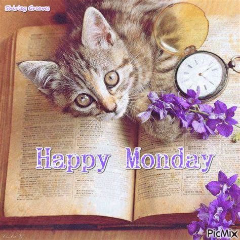Happy Monday Kitty  Pictures Photos And Images For Facebook