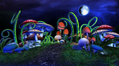Abstract Mushrooms In The Night Hd Wallpaper