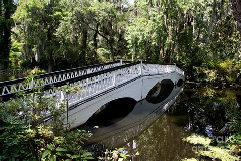 The White Magnolia Plantation Bridge Photograph By Christiane Schulze