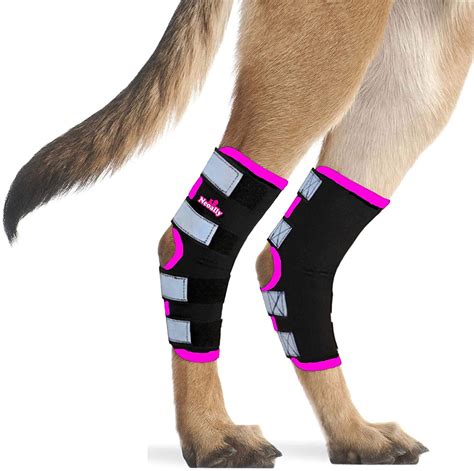 Buy Neoally Dog Rear Leg Braces Long Version Canine Hind Hock Support