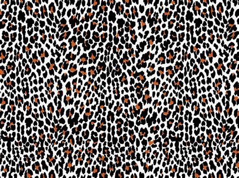 Cheetah Pattern Vector At Collection Of Cheetah