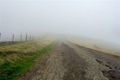 A Foggy Morning On A Country Road Stock Photo Image Of Lagoon