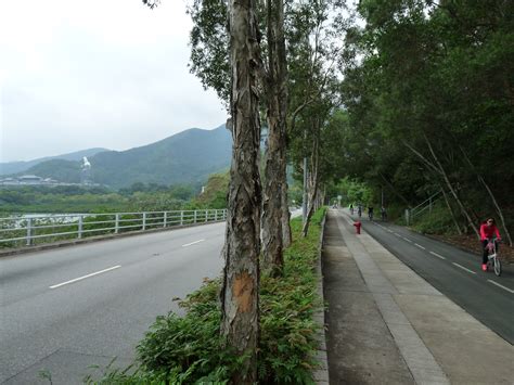 Many of them are well sheltered by mountains nearby, as hong kong is a mountainous place. 興建龍尾人工泳灘，將增加大量車流。若擴闊汀角路，單車徑會否不保？ - 環保觸覺