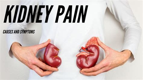 How Long Does Kidney Pain Last Causes Symptoms And Healing