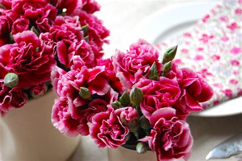 It is difficult to find a superb local florist shop that can provide you alluring carnations for any wonderful occasion or event. Budget Friendly Wedding Centerpieces from Chelsea Fuss ...