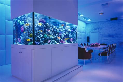 Amazing Built In Aquariums In Interior Design