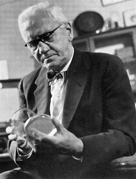 Top Remarkable Facts About Sir Alexander Fleming Discover Walks Blog