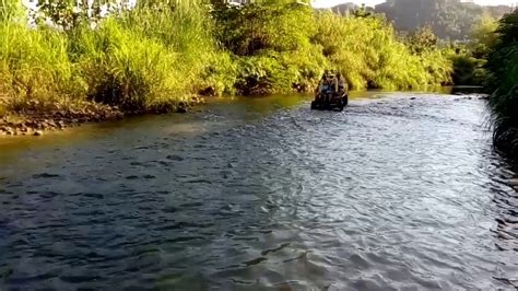 Vacilando En El Río Tanama Arecibo 🇵🇷 Youtube