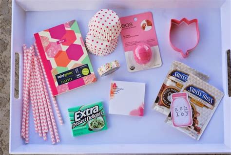 Rachel Zimm Diy Pink And Mint Package