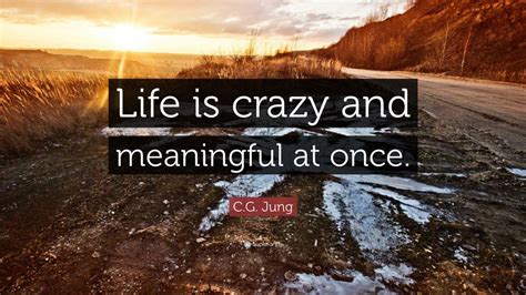 Cg Jung Quote “life Is Crazy And Meaningful At Once”
