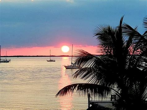 Bayside Inn Key Largo Updated 2024 Prices Reviews And Photos Florida
