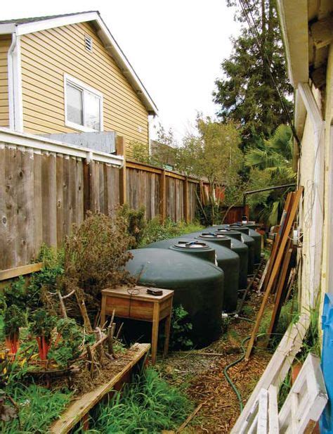 Guide To Urban Homesteading Backyard Landscaping Backyard Urban