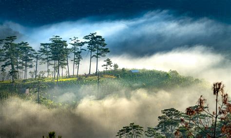 25 Fun Things To Do In Dalat Vietnam Wandering Wheatleys