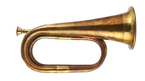 The 10 Different Types Of Trumpets A Complete Guide 2023