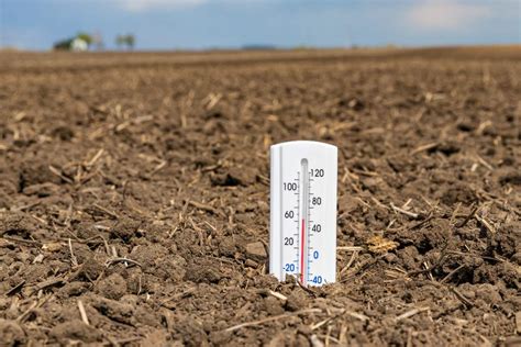 How Does Soil Temperature Affect Plants The Facts Explained
