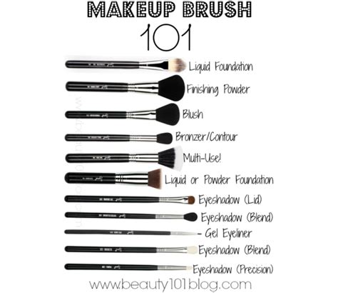 Makeup Brush 101 Luuux Eye Makeup Brushes Makeup Brushes 101 Basic