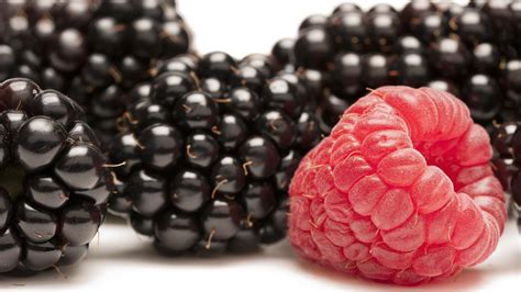 Blackberries Vs Raspberry Pimp Your Kitchen