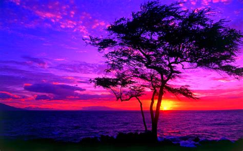 Sunset euclidean illustration, beautiful night view of the town, purple, beautiful vector png. 47+ Beautiful Sunsets Wallpaper on WallpaperSafari