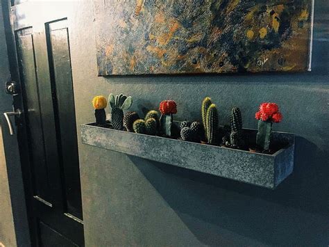 They use the sun for energy to grow. #cacti | Cactus decor, Interior design plants, Succulents ...
