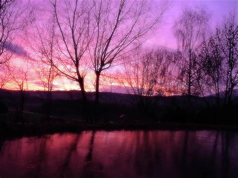 Purple Winter Sunset Over The Lake Photograph By Jonny Jelinek Fine
